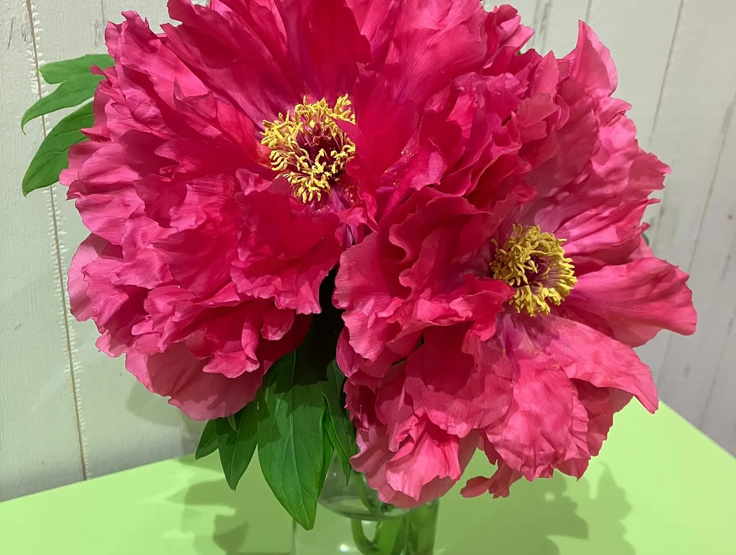 お陰様で8周年🌸