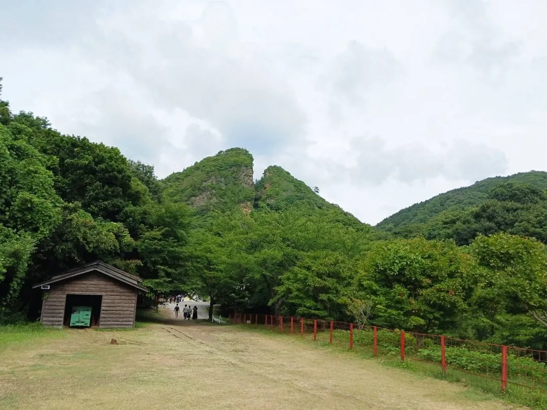 SAKURAは、お盆明けお休み頂きましてありがとうございます...